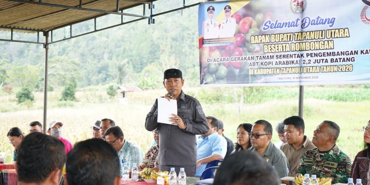 Dorong Kesejahteraan Petani, Pemkab Tapanuli Utara Gerakkan Penanaman 2,2 Juta Batang Kopi Arabika Dorong Kesejahteraan Petani, Pemkab Tapanuli Utara Gerakkan Penanaman 2,2 Juta Batang Kopi Arabika 