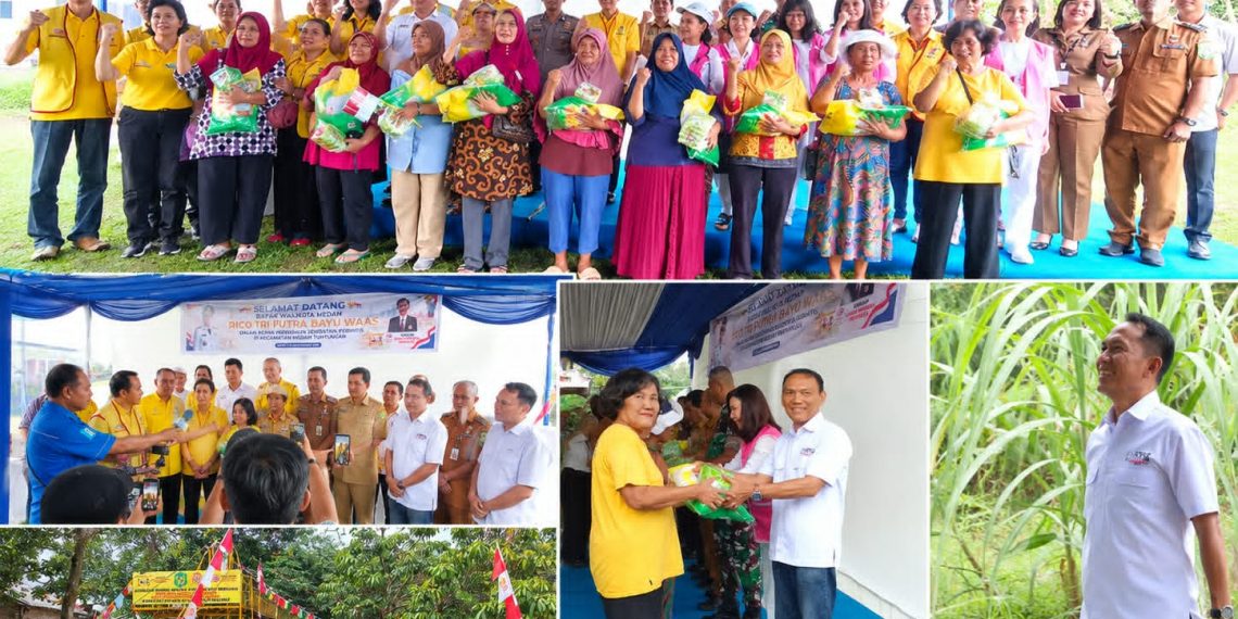 Jejak Ketua SMSI Medan di Balik Berdirinya Jembatan Perintis Kelurahan Mangga Jejak Ketua SMSI Medan di Balik Berdirinya Jembatan Perintis Kelurahan Mangga