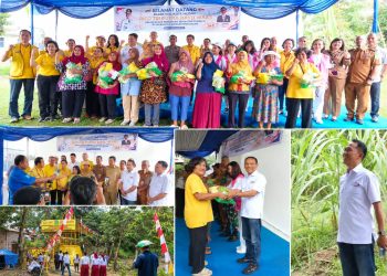 Jejak Ketua SMSI Medan di Balik Berdirinya Jembatan Perintis Kelurahan Mangga