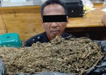 Satresnarkoba Polrestabes Medan Tangkap Oknum Security Pengedar Ganja