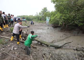 Green Policing: Penanaman 1.994 Bibit Mangrove Cegah Abrasi, Serap CO₂, dan Jaga Ekosistem
