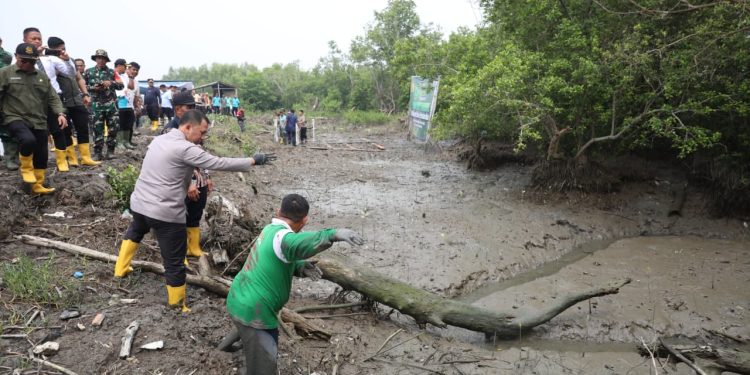 Green Policing: Penanaman 1.994 Bibit Mangrove Cegah Abrasi, Serap CO₂, dan Jaga Ekosistem