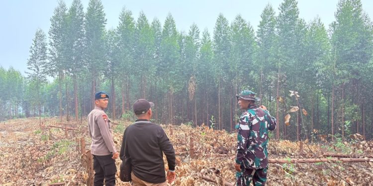 Cegah Karhutla di Padang Lawas, 50 Personel Brimob Sumut Gencarkan Patroli Gabungan