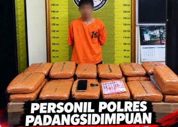 Bawa 20 Kilogram Ganja, Warga Sipirok Ditangkap Satresnarkoba Polres Padangsidimpuan