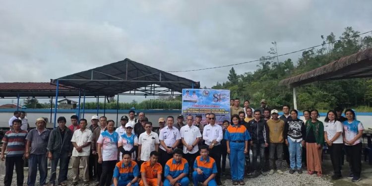 Semarak Hari Jadi ke-81 Taput, Pemkab Tapanuli Utara Salurkan 10 Ribu Benih Ikan Nila untuk Pembudidaya di Sipoholon