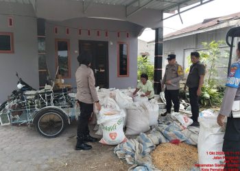 Bukan Sekadar Jaga Kamtibmas, Polsek Siantar Selatan Turun ke Ladang Panen Jagung Bersama Petani