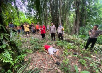 Naas Saat Panen, Petani 59 Tahun Tewas Tertimpa Buah Sawit di Raya Kahean