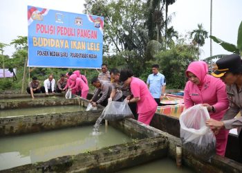 Tak Hanya Jaga Kamtibmas, Polrestabes Medan Budidayakan 16.000 Bibit Lele untuk Ketahanan Pangan
