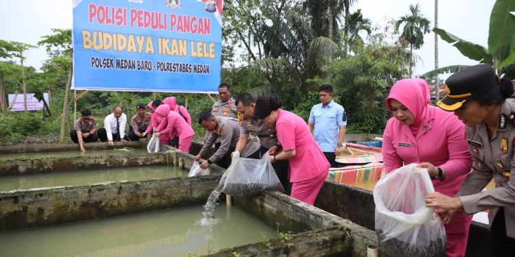 Tak Hanya Jaga Kamtibmas, Polrestabes Medan Budidayakan 16.000 Bibit Lele untuk Ketahanan Pangan Tak Hanya Jaga Kamtibmas, Polrestabes Medan Budidayakan 16.000 Bibit Lele untuk Ketahanan Pangan