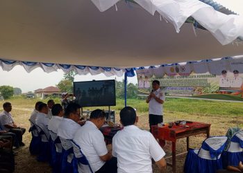 Pemerintah Kabupaten Tapanuli Utara Gelar Gerakan Menanam Cabai Serentak Untuk Tekan Anflasi