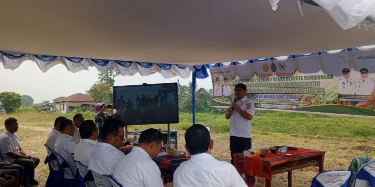 Pemerintah Kabupaten Tapanuli Utara Gelar Gerakan Menanam Cabai Serentak Untuk Tekan Anflasi
