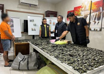 Satresnarkoba Polrestabes Medan Gerebek Gudang Pengolahan Pinang yang Jadi Gudang Narkoba. 3 Kg Sabu, 10.000 ekstasi, dan 1.778 Pod Getar Disita