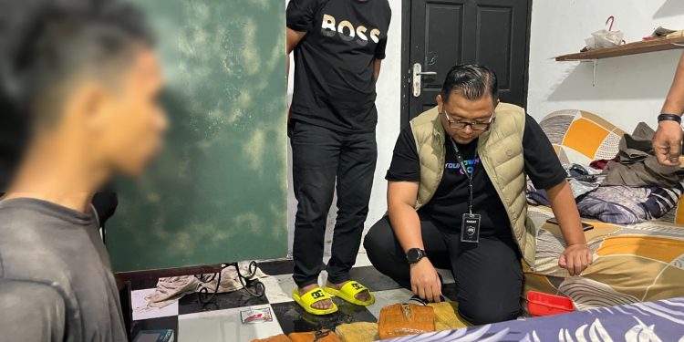 Kandang Ayam di Marindal Jadi Gudang Ganja, 18 Kg Narkoba Disita Polrestabes Medan Kandang Ayam di Marindal Jadi Gudang Ganja, 18 Kg Narkoba Disita Polrestabes Medan