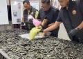 Polrestabes Medan Bongkar Gudang Narkoba Jaringan Malaysia, Sita Sabu dan 10.000 Ekstasi