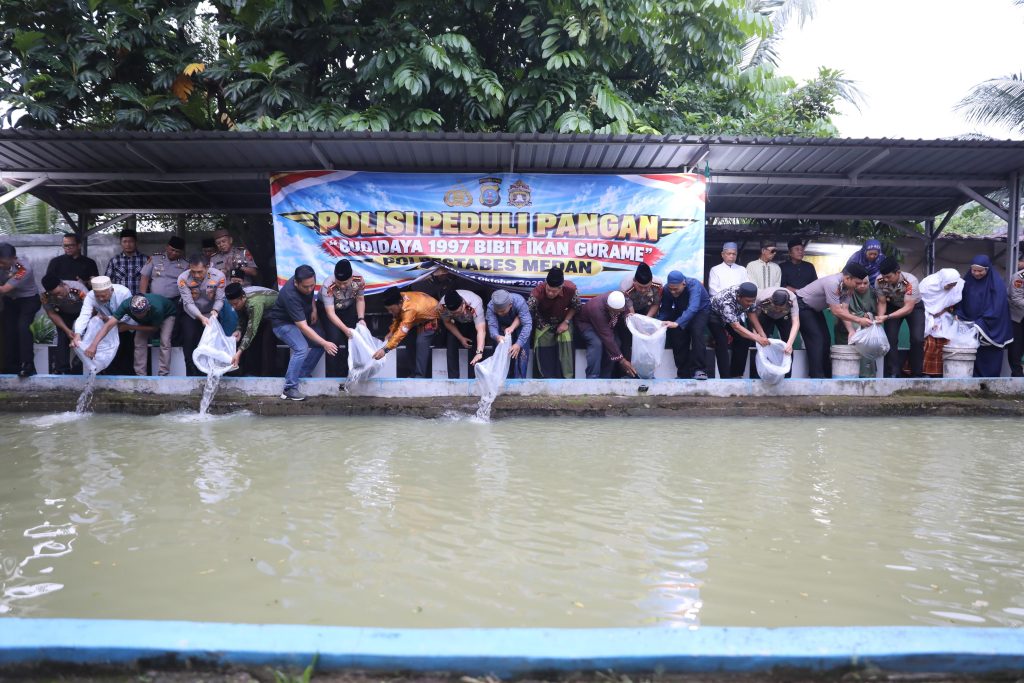 Polda Sumut dan Polrestabes Medan Tebar 1.997 Bibit Ikan Gurami, Dukung Ketahanan Pangan di Jermal